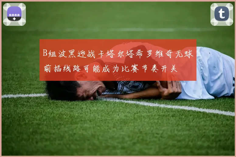 B组波黑迎战卡塔尔塔希罗维奇无球前插线路可能成为比赛节奏开关