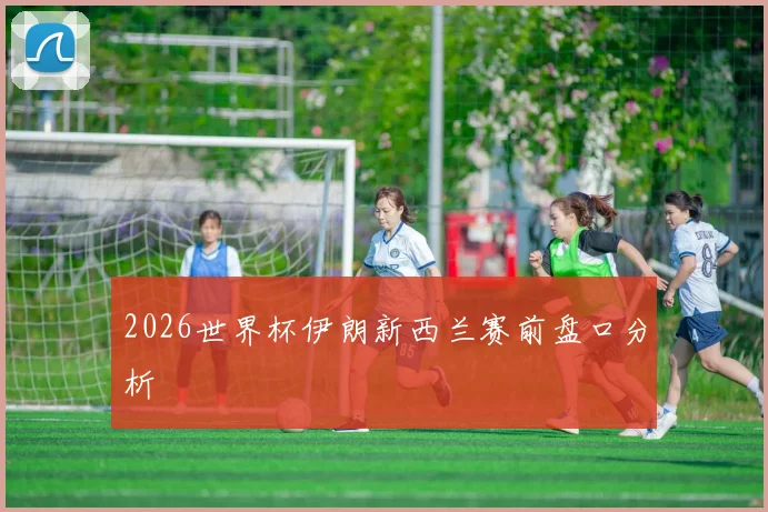 2026世界杯伊朗新西兰赛前盘口分析