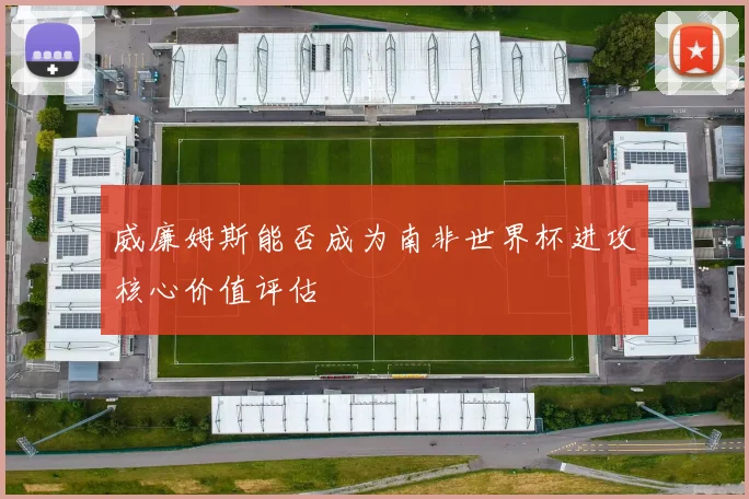 威廉姆斯能否成为南非世界杯进攻核心价值评估
