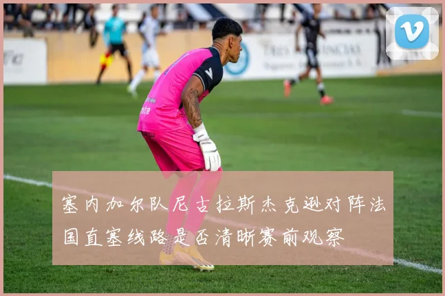 塞内加尔队尼古拉斯杰克逊对阵法国直塞线路是否清晰赛前观察